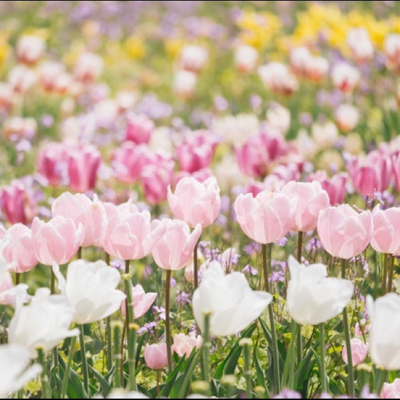 Meet your Posher, Kay - Picture 7 of 8